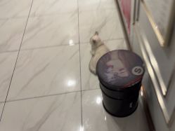 -镁连社·美联社