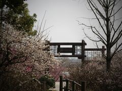 -苏州上方山国家森林公园