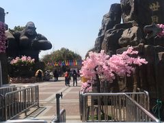 -自然谷恐龙园