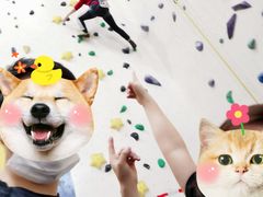 -问山MountQuest攀岩馆