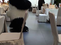 -眉州东坡(通州店)