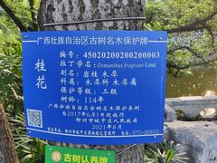 -柳侯公园