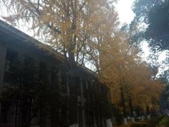 -四川大学(华西校区)