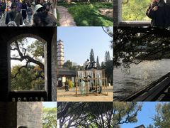 -江心屿景区