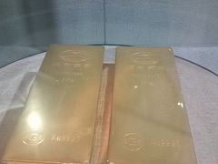 -烟台自然博物馆