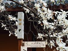 -龙华寺