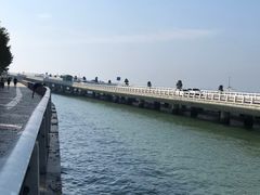 -演武大桥观景平台