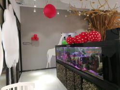 点击看大图 -可爱多国际儿童摄影会馆(龙泉店)
