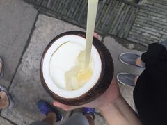 -志龙皇冠吃货椰子铺