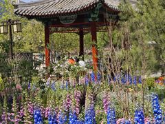 -西海子公园