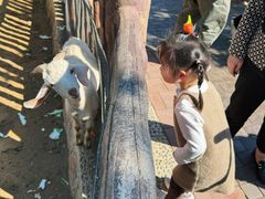 -石家庄市动物园