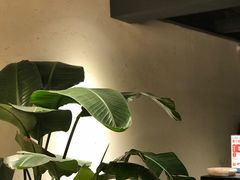 -韩见·韩式拌饭·炸鸡(石厦店)