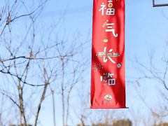 -长田漾湿地公园
