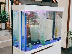 -名善山珍·野生菌汤锅(文殊院店)