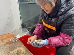 -阳澄湖大闸蟹·琼灵阁牌品牌连锁(吴中总店)