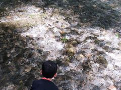 -水磨沟公园