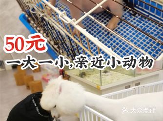 50元一大一小，亲近小动物！