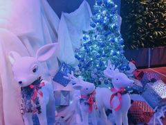 -上海外滩英迪格酒店