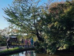 -有栖山 清光院 清水寺