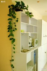 DSC_1396_conew1-极致·本色 发型工作室