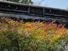 -太平天国侍王府