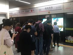 -杨高南路(地铁站)