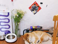 -About Bistro關於·泰式家庭料理