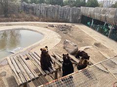 -齐齐哈尔龙沙动植物园