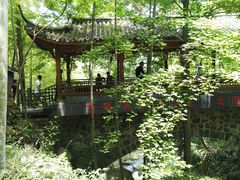 -藏龙百瀑风景区