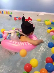 -雏芽婴幼儿游泳·小美医生小儿推拿(西村店)