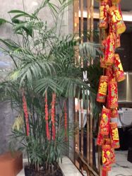 -Meng Lang 梦郎白金店