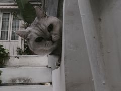 -小时光咖啡馆(北锣鼓巷店)