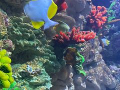 -海合安青岛极地海洋公园