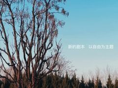 -汉长安城未央宫国家考古遗址公园