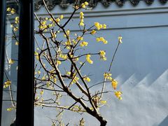 -绮园景区