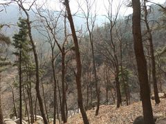 -沂蒙山旅游区云蒙景区(蒙山国家森林公园)