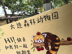 -大连森林动物园