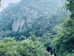-阳台山自然风景区