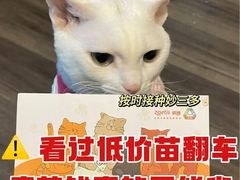 -康旭宠物医院(郑州总院)