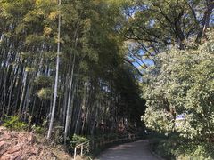 -上海市保健医疗中心