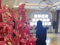 -合肥美奥口腔·种植矫正中心(政务院)