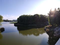 -大兴滨河森林公园