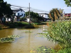 -莲花岛景区