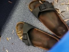 -龙江大舞台旗舰店