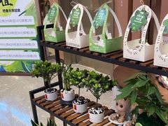 -食通天·寰宇集(杭州万象城店)