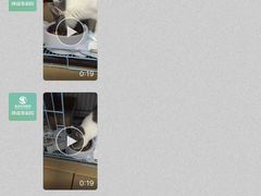 -瑞派宠物医院(搏威敦和院)