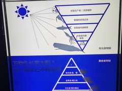 -同济大学四平路校区深海探索馆