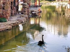 -水绘园