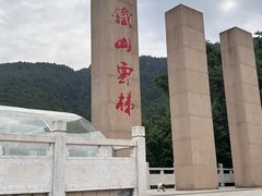 -铁山坪森林公园