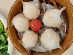 -益健美食大广场(北岭店)